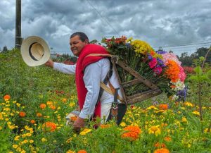 flores