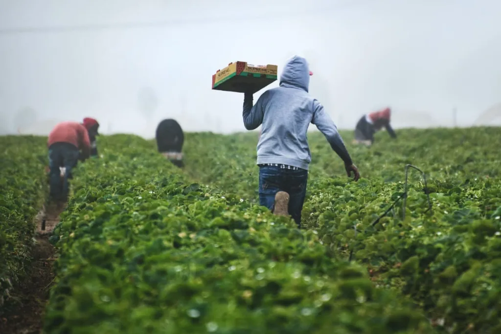 trabajadores-agricultores-1024x683